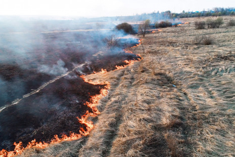 Aerial view of field fire